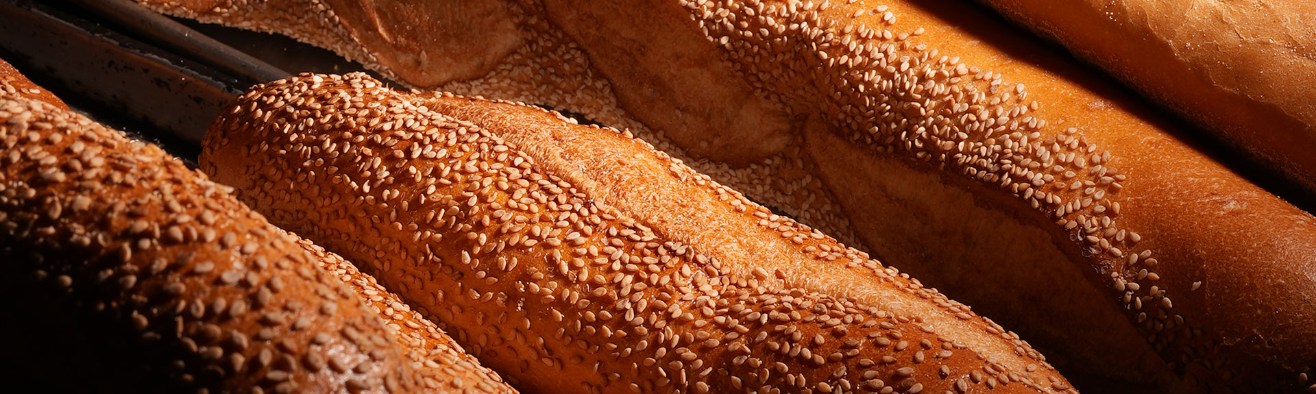 Corropolese Italian Bread